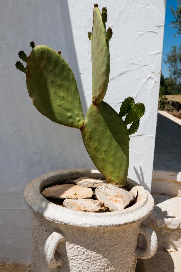 Il Trullo Della Rondinina Villa Alberobello Eksteriør billede