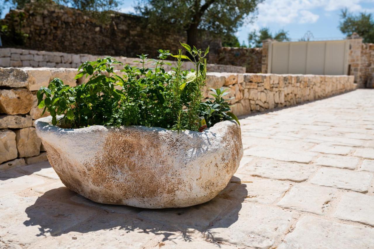 Il Trullo Della Rondinina Villa Alberobello Eksteriør billede