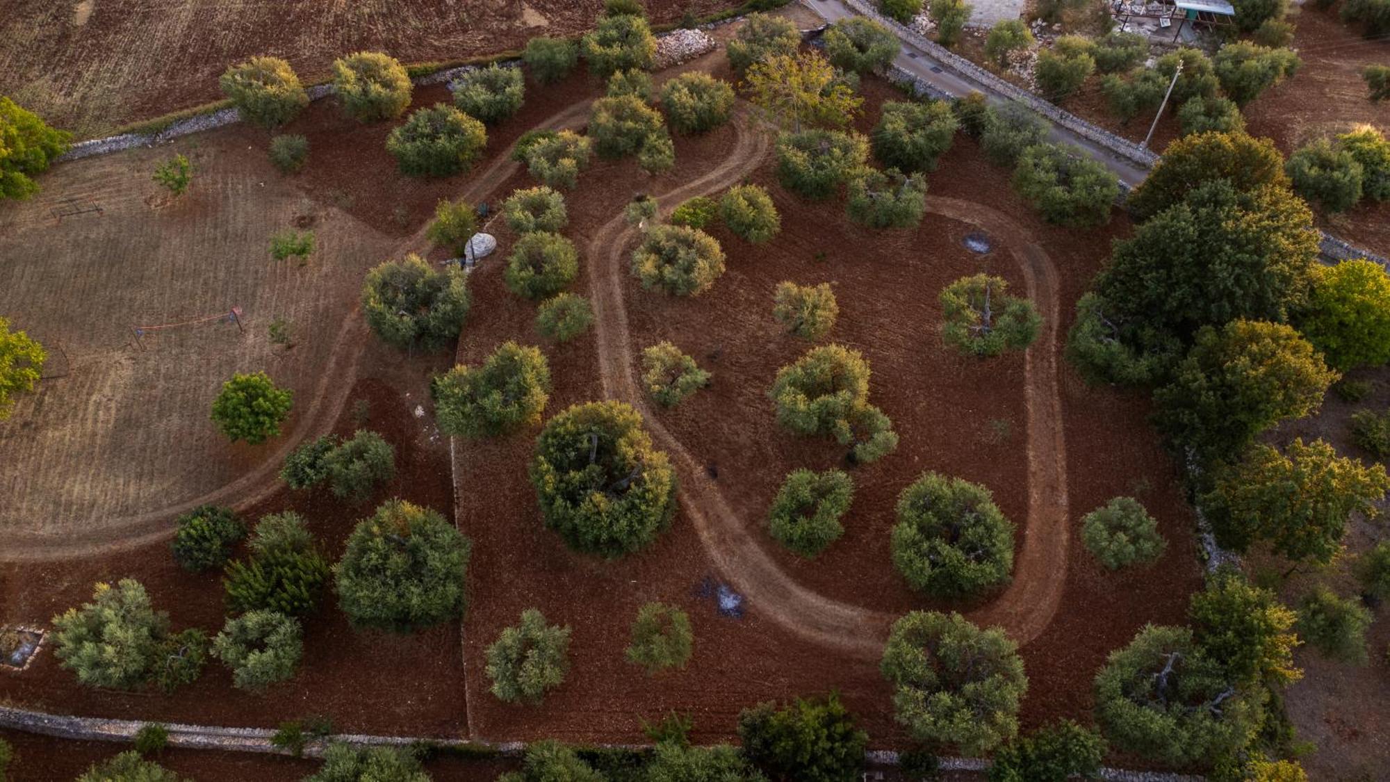Il Trullo Della Rondinina Villa Alberobello Eksteriør billede
