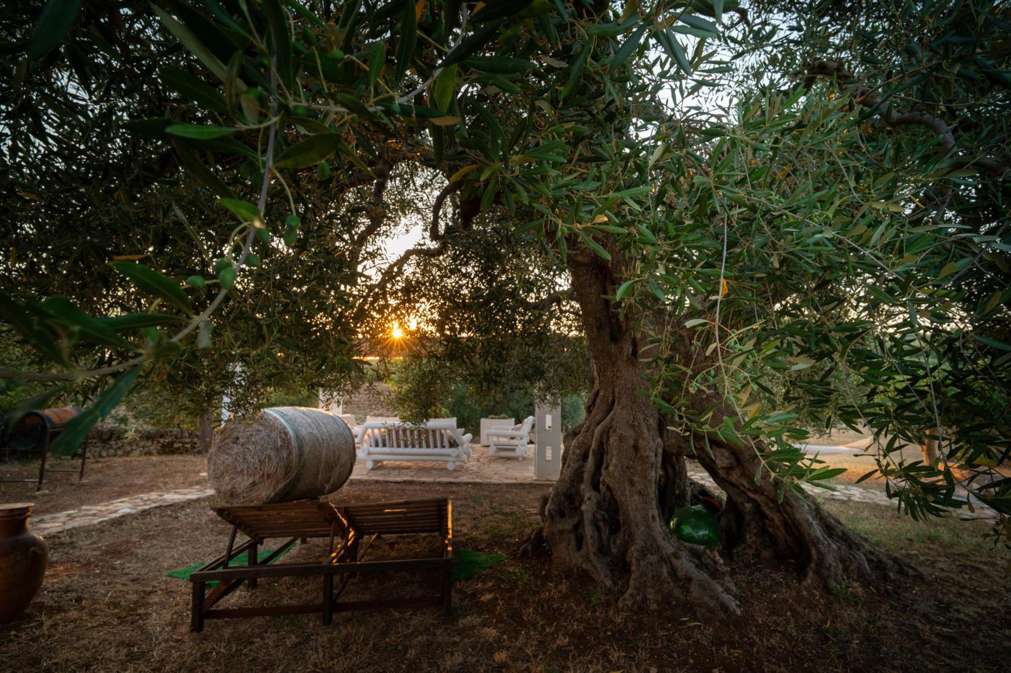 Il Trullo Della Rondinina Villa Alberobello Eksteriør billede